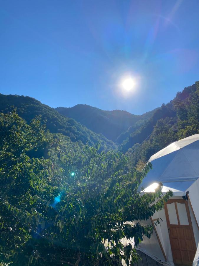 North Dome & Suite Rize Bagian luar foto