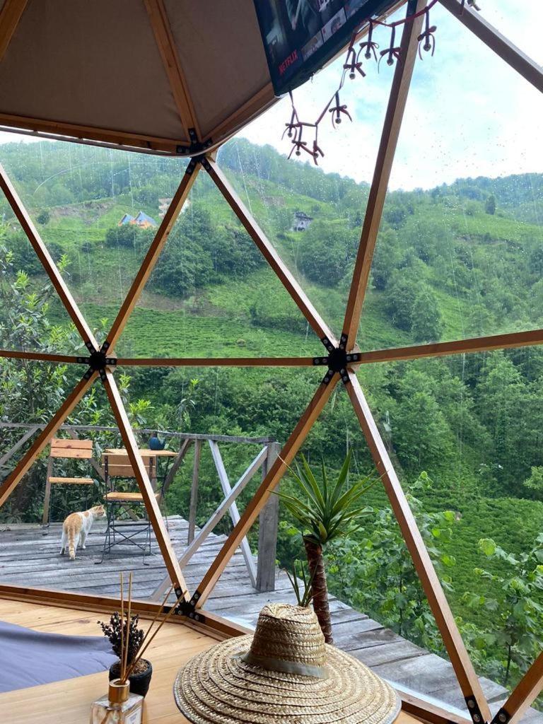 North Dome & Suite Rize Bagian luar foto